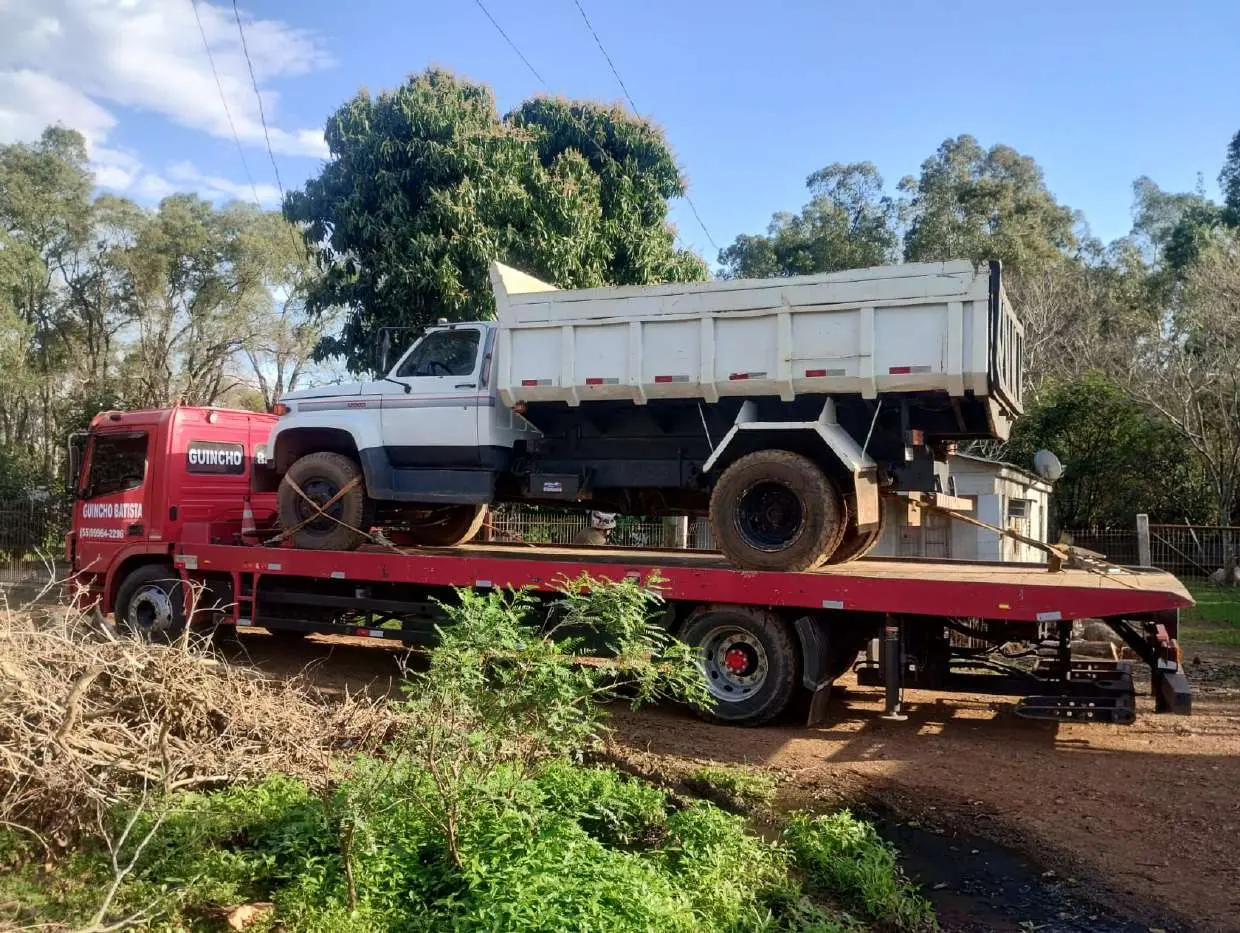 Transporte de caminhão